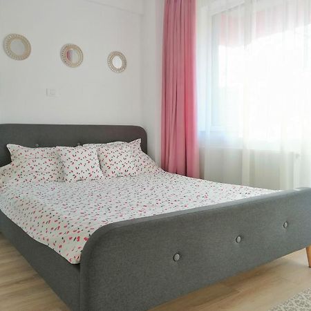 Cozy Apartment Bujorilor Suceava Bagian luar foto