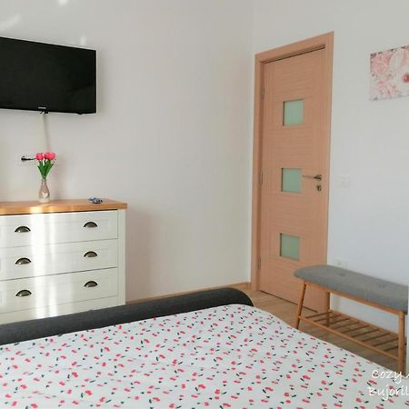 Cozy Apartment Bujorilor Suceava Bagian luar foto