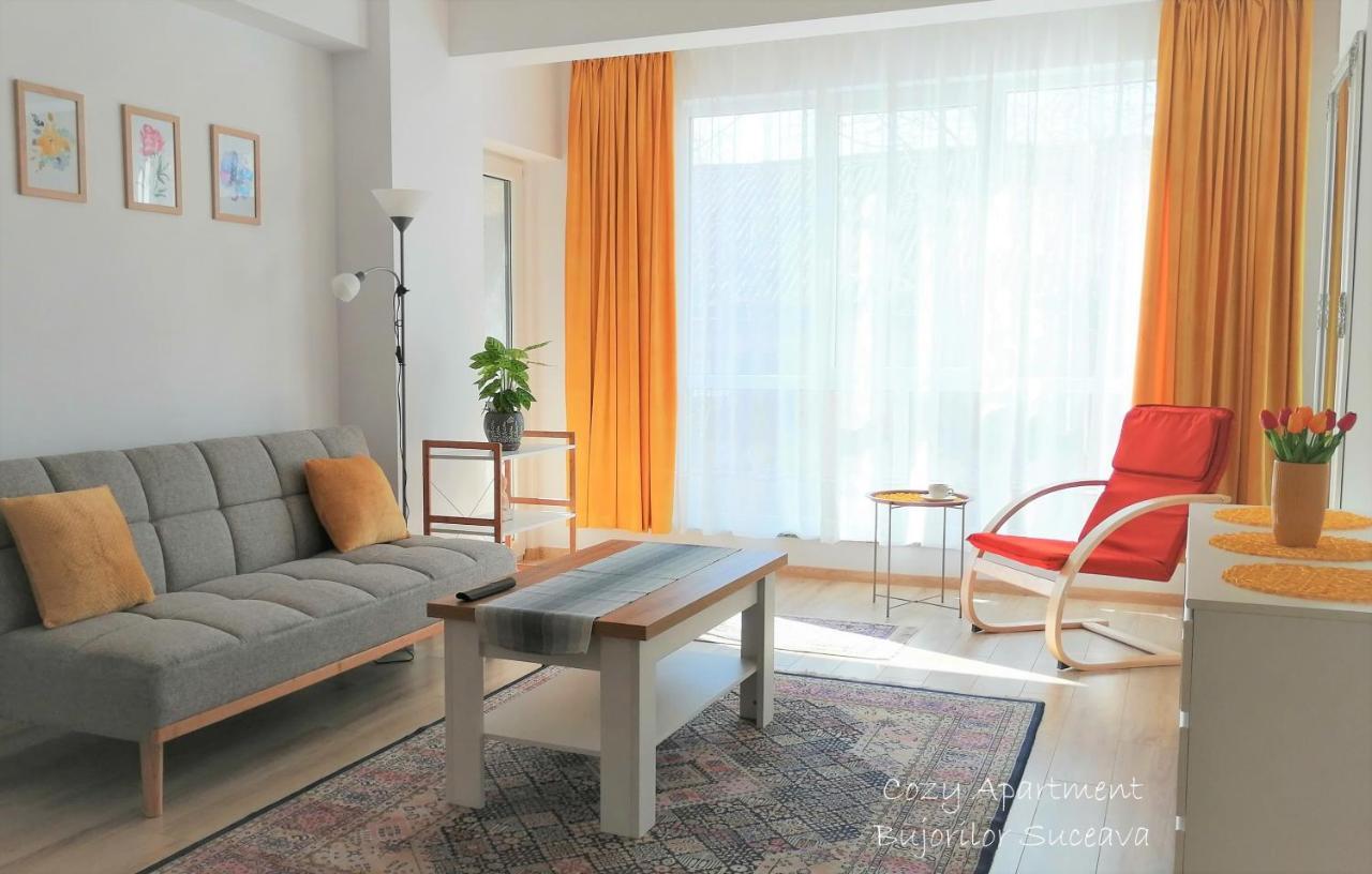 Cozy Apartment Bujorilor Suceava Bagian luar foto