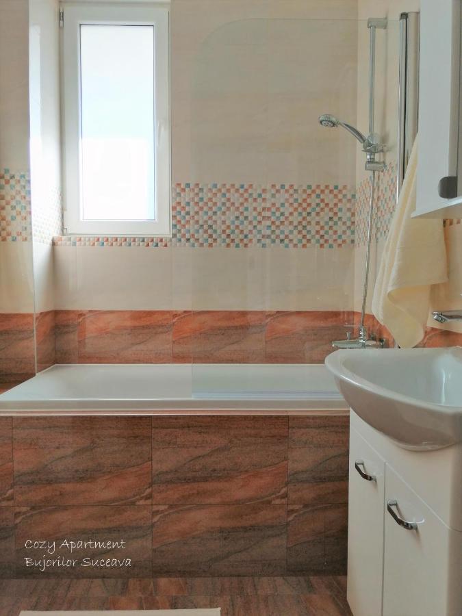 Cozy Apartment Bujorilor Suceava Bagian luar foto