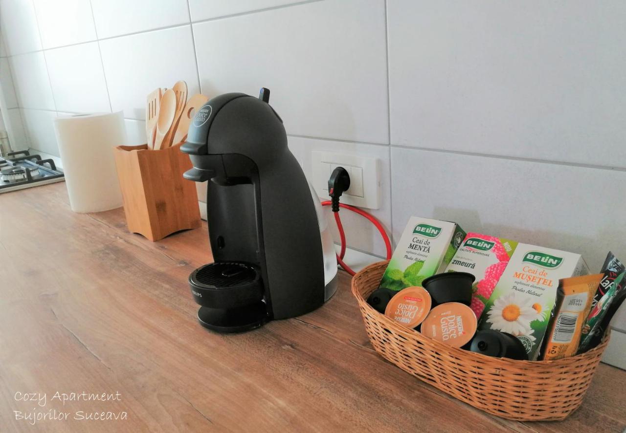 Cozy Apartment Bujorilor Suceava Bagian luar foto