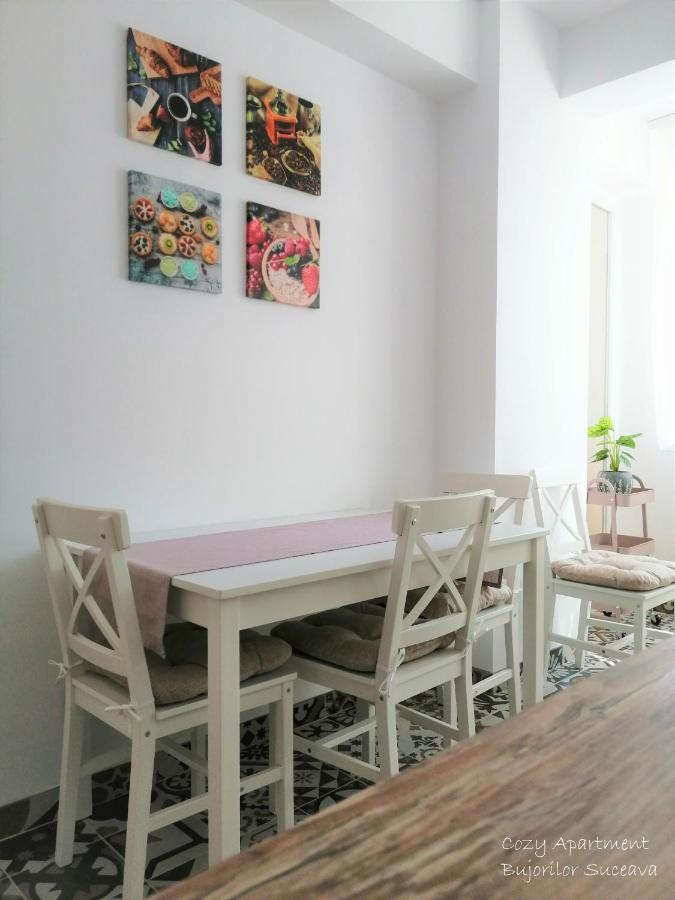 Cozy Apartment Bujorilor Suceava Bagian luar foto