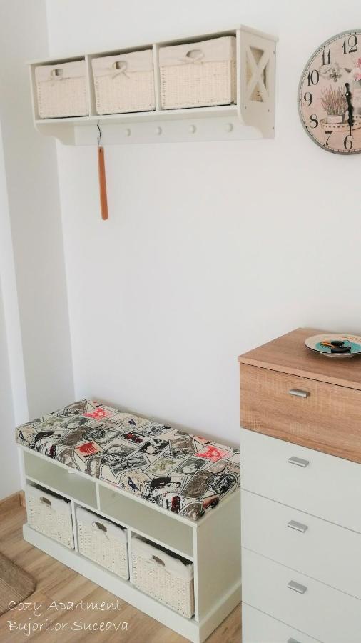 Cozy Apartment Bujorilor Suceava Bagian luar foto