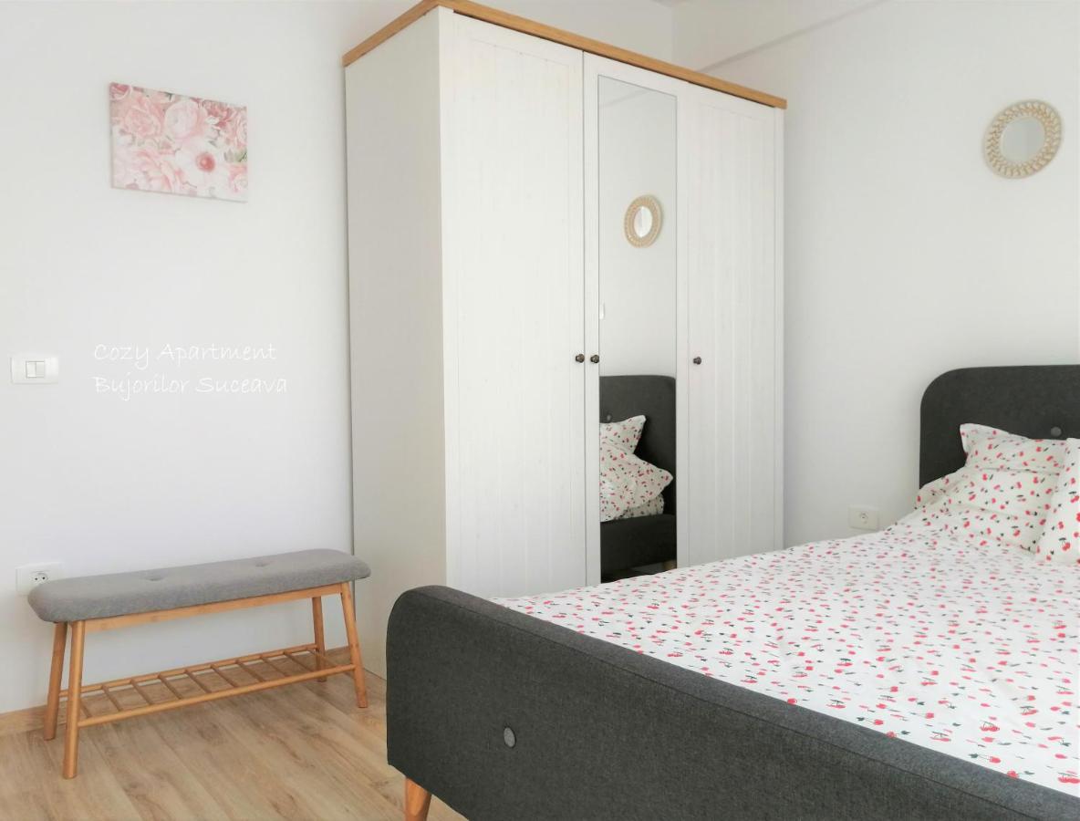Cozy Apartment Bujorilor Suceava Bagian luar foto