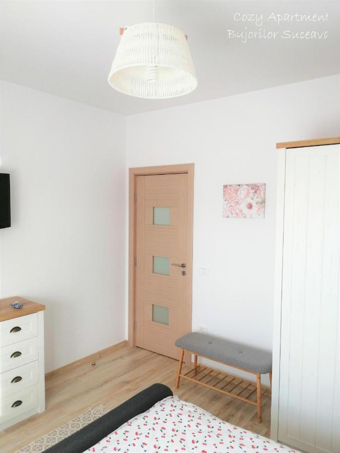 Cozy Apartment Bujorilor Suceava Bagian luar foto
