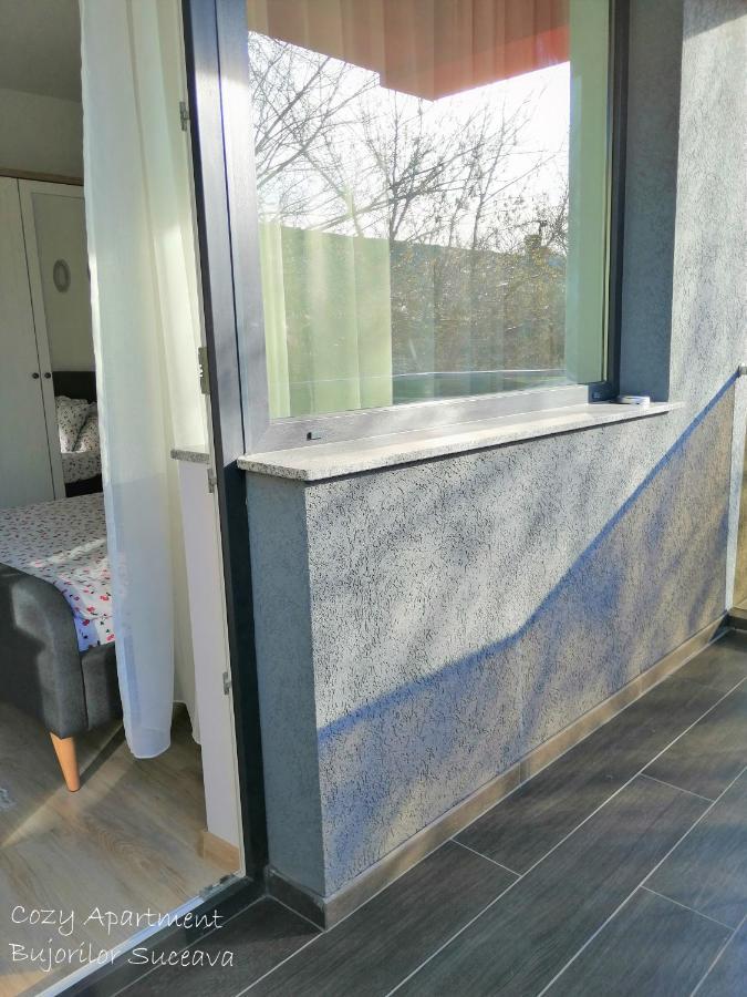 Cozy Apartment Bujorilor Suceava Bagian luar foto