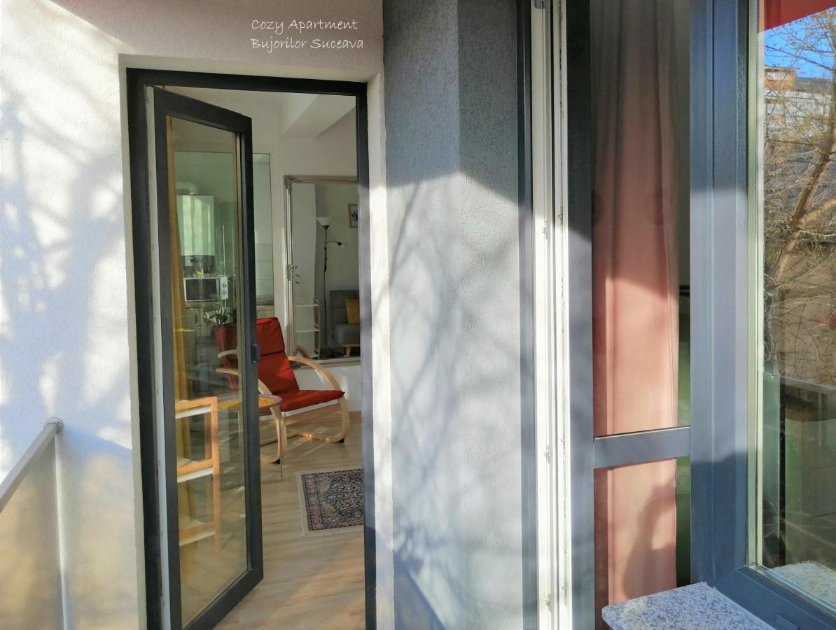 Cozy Apartment Bujorilor Suceava Bagian luar foto