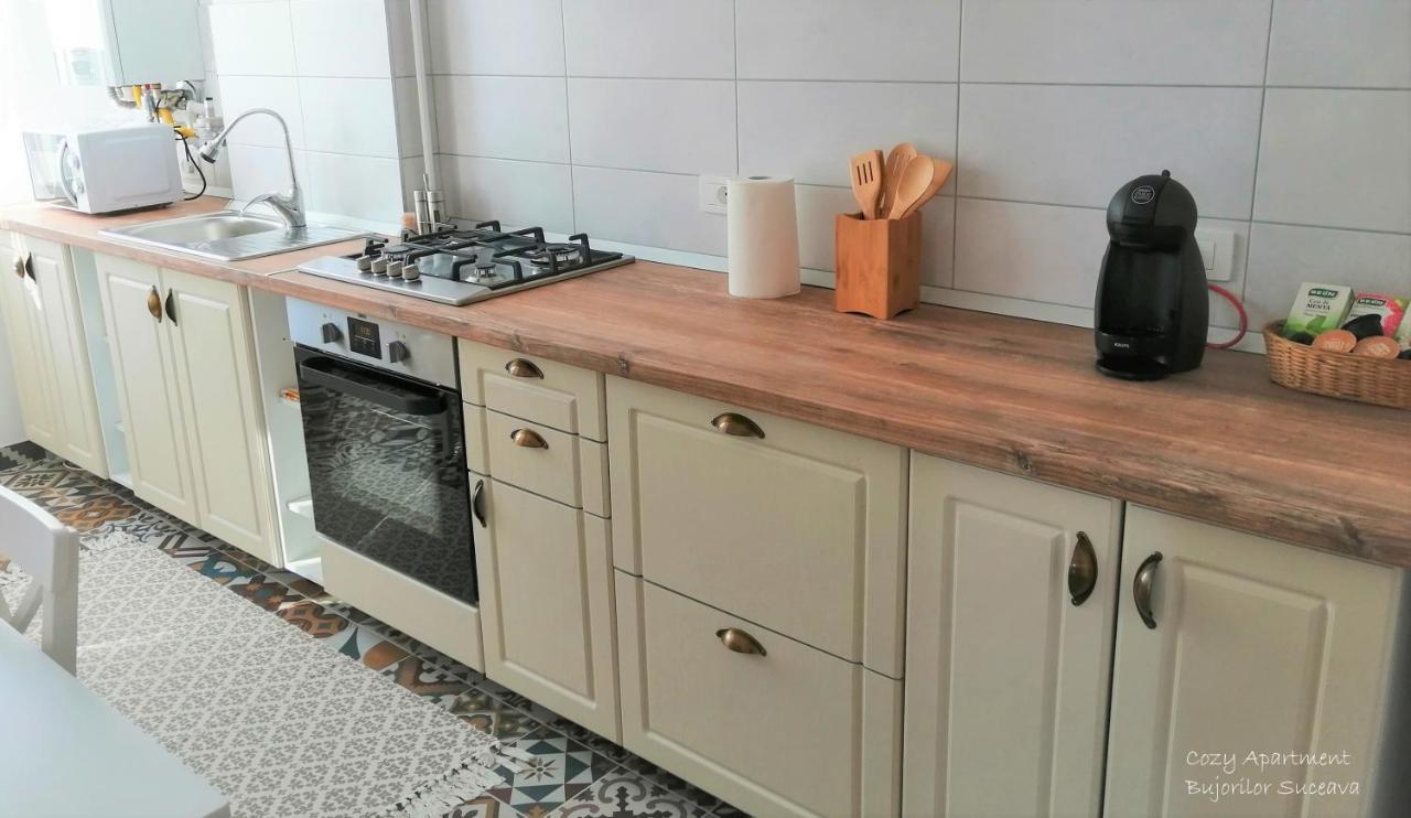 Cozy Apartment Bujorilor Suceava Bagian luar foto