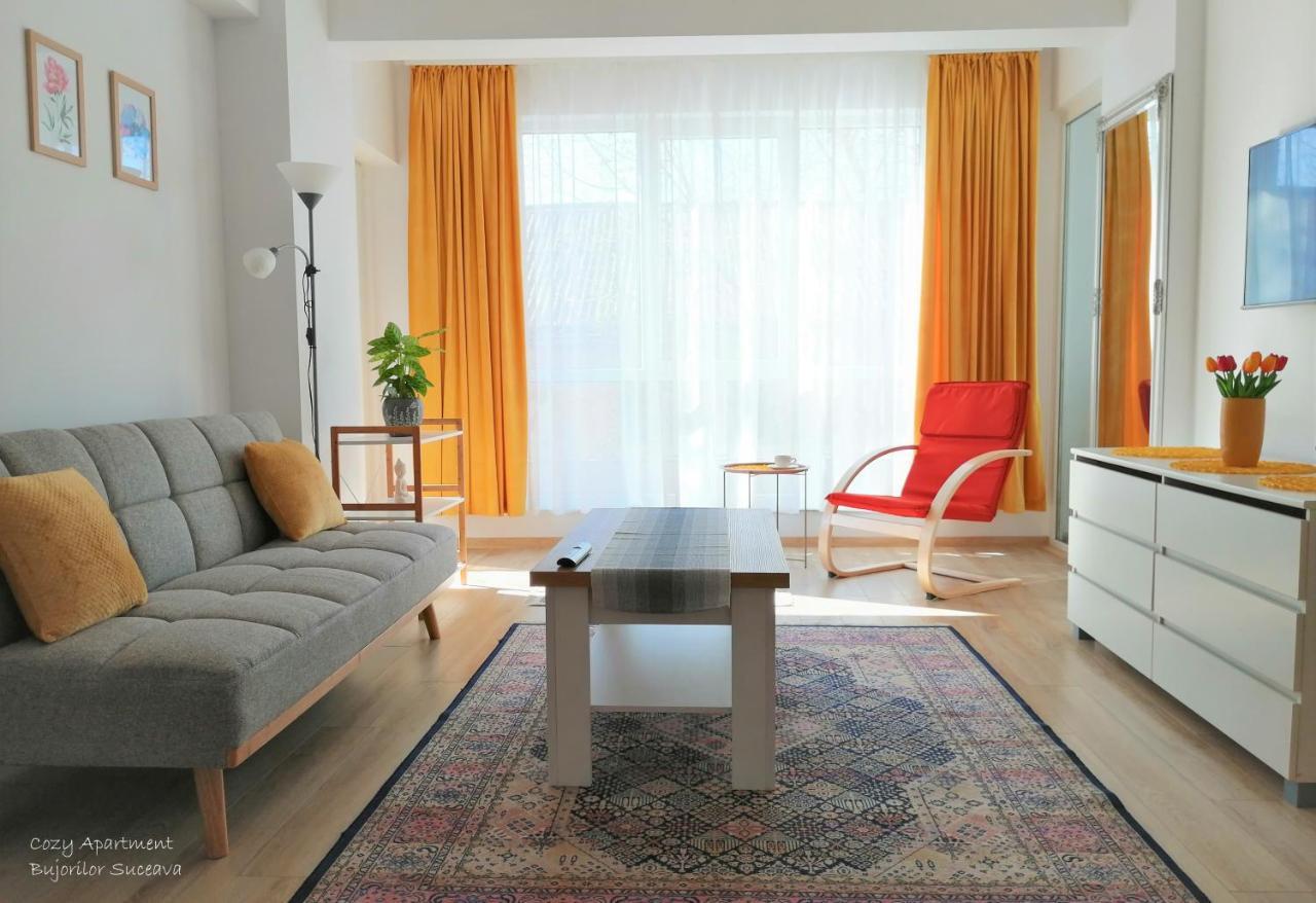 Cozy Apartment Bujorilor Suceava Bagian luar foto