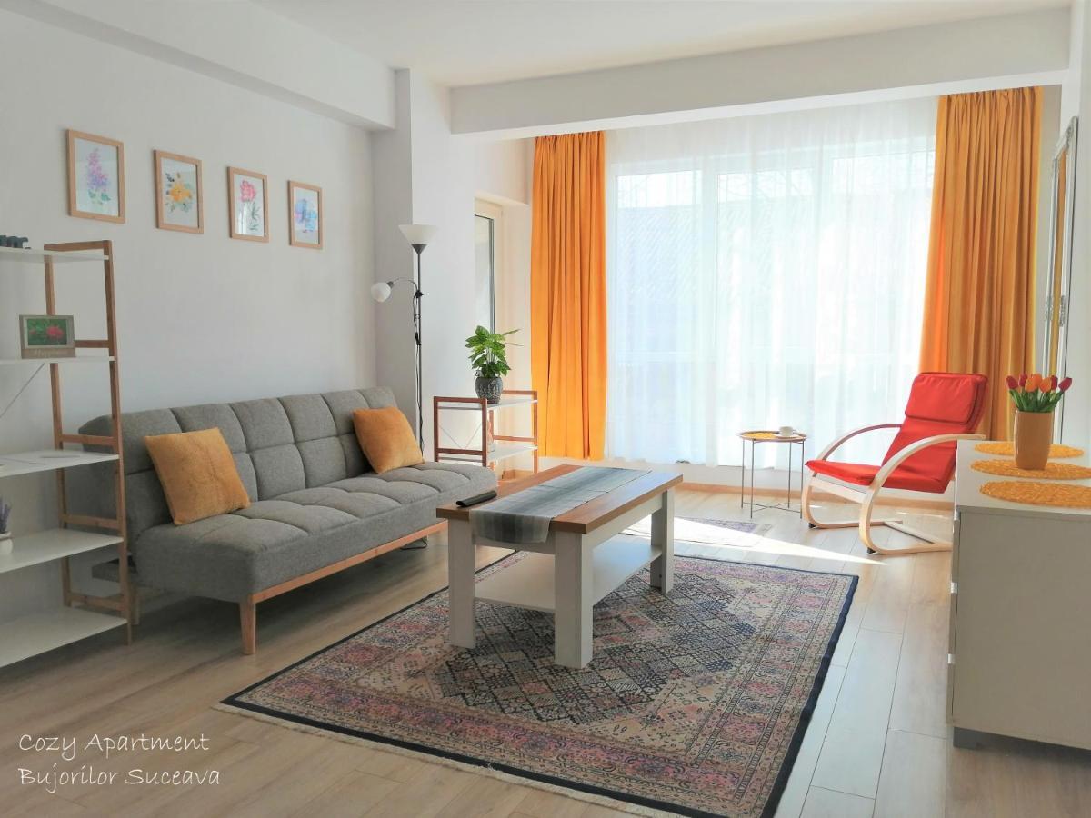 Cozy Apartment Bujorilor Suceava Bagian luar foto