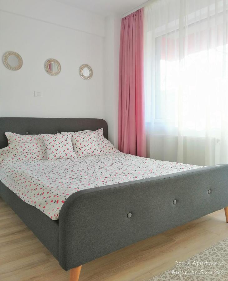 Cozy Apartment Bujorilor Suceava Bagian luar foto