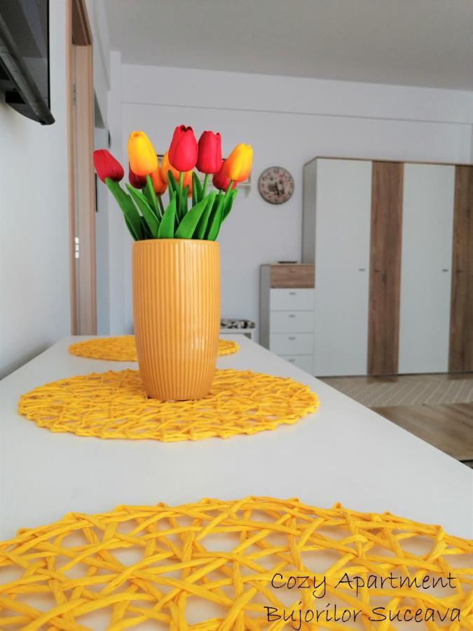Cozy Apartment Bujorilor Suceava Bagian luar foto