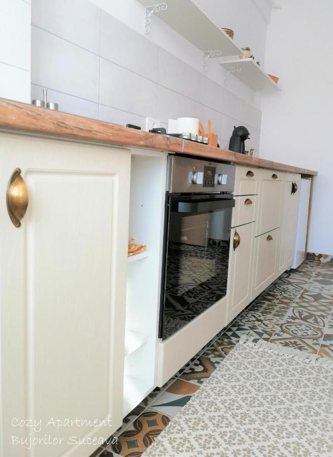 Cozy Apartment Bujorilor Suceava Bagian luar foto