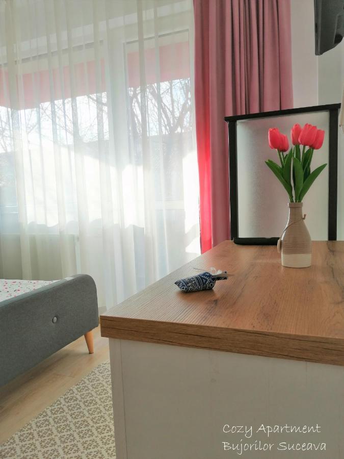 Cozy Apartment Bujorilor Suceava Bagian luar foto