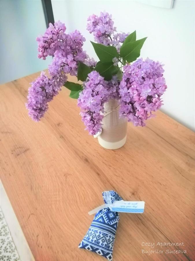 Cozy Apartment Bujorilor Suceava Bagian luar foto