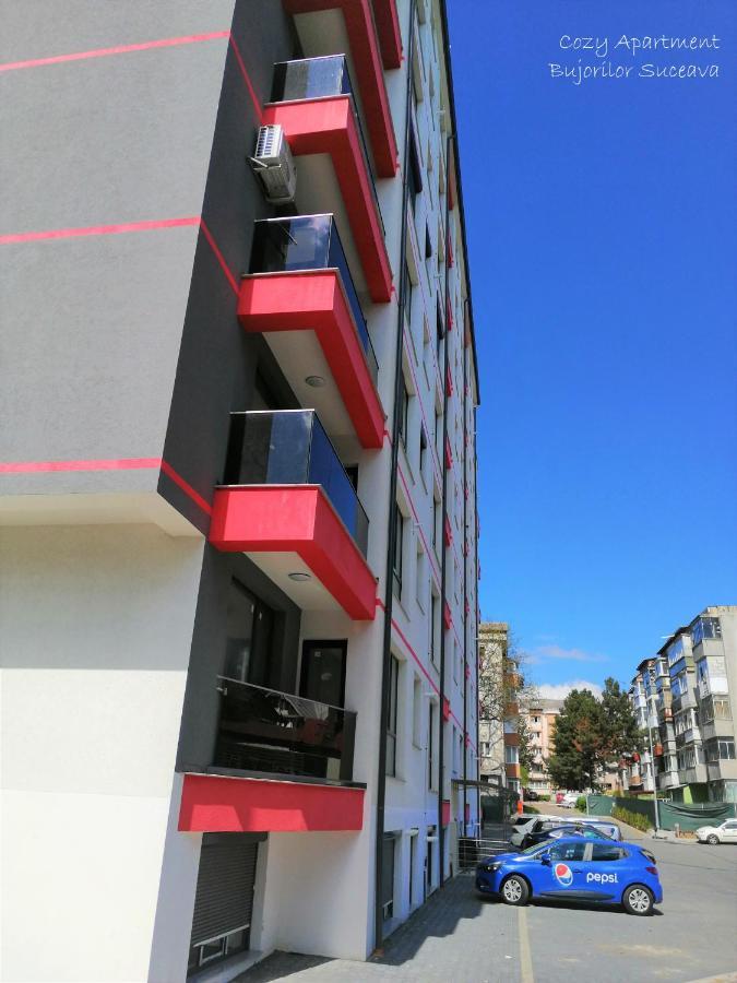 Cozy Apartment Bujorilor Suceava Bagian luar foto