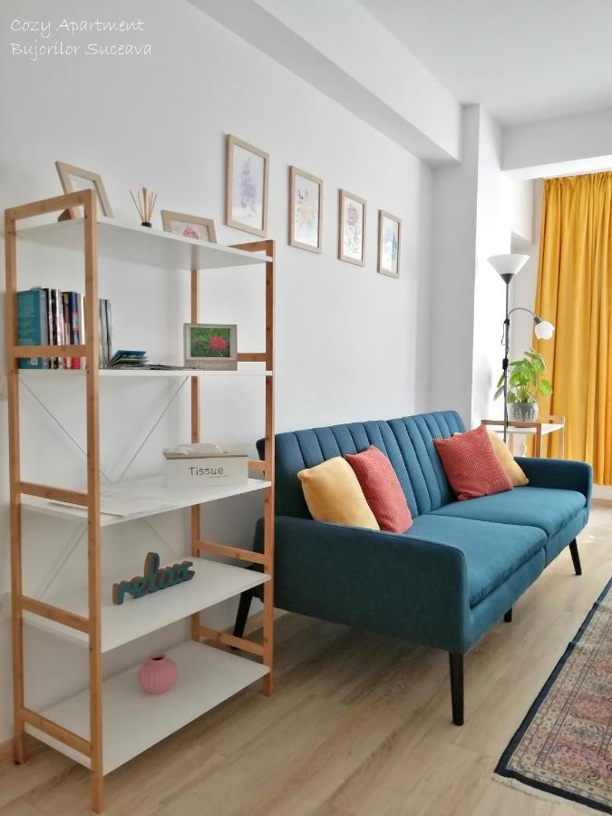 Cozy Apartment Bujorilor Suceava Bagian luar foto